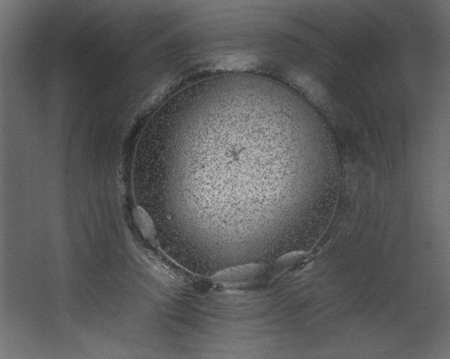 X0000067910354200604201410