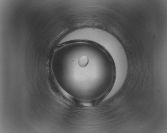 X0000067910356200604201410