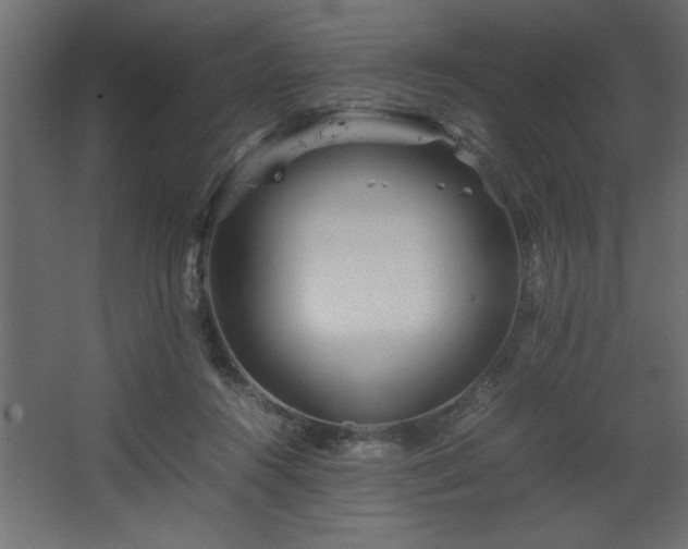 X0000067910360200604201410