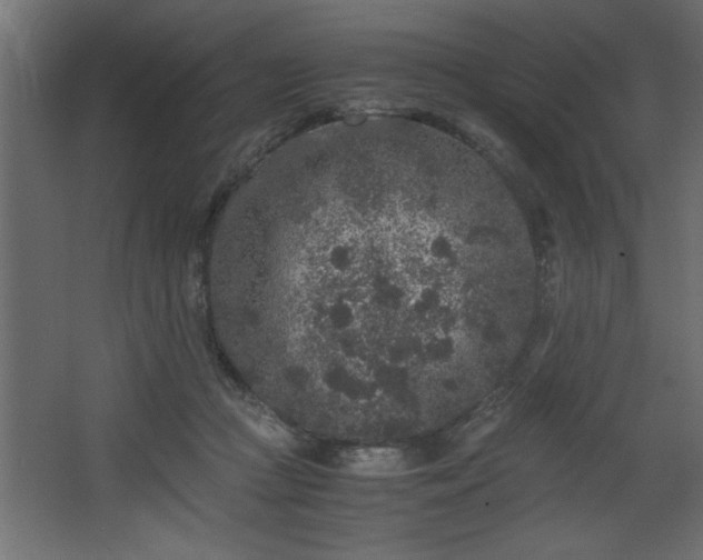 X0000067910361200604201410