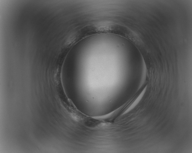 X0000067910364200604201410