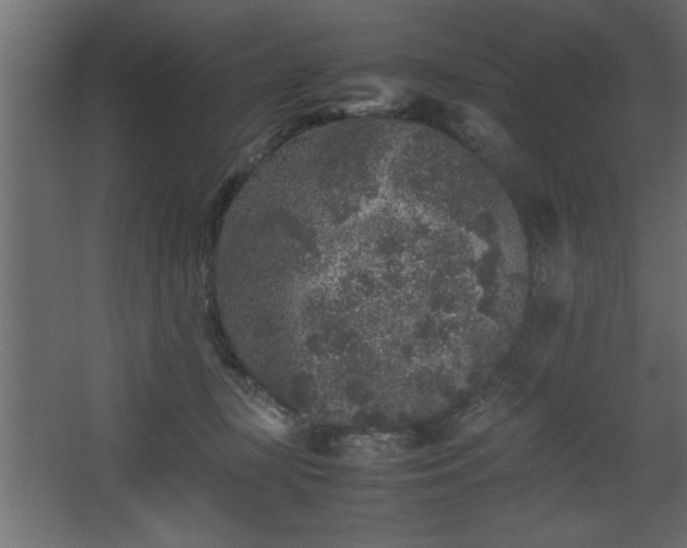 X0000067910367200604201410