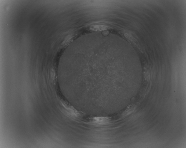 X0000067910371200604201410