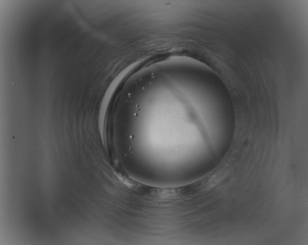 X0000067910384200604201411