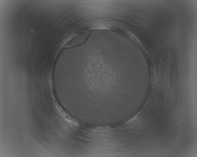 X0000067910386200604201410