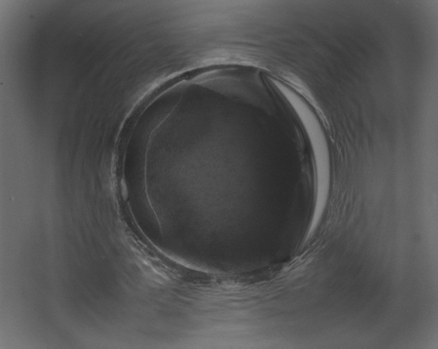 X0000067910387200604201410