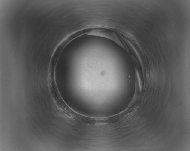 X0000067910388200604201410