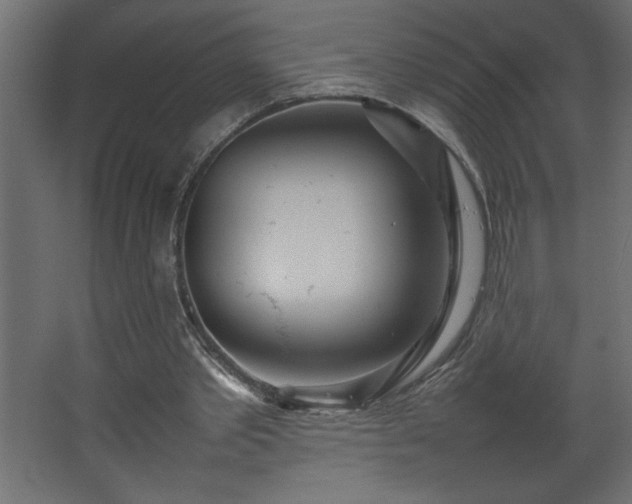 X0000067910389200604201410