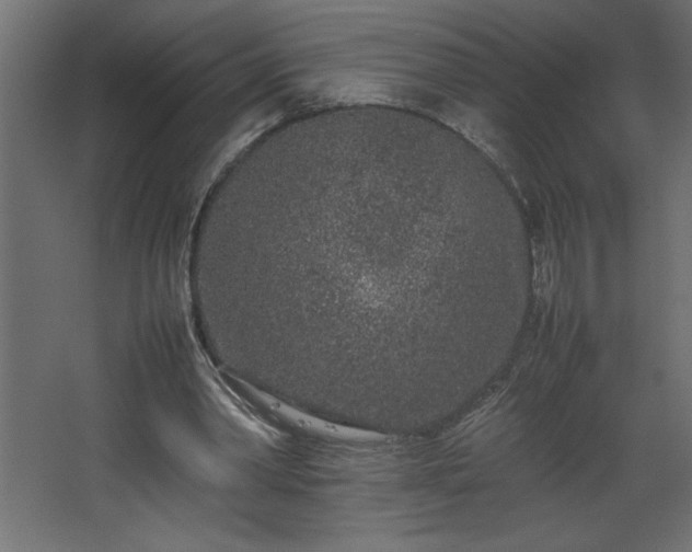 X0000067910390200604201410