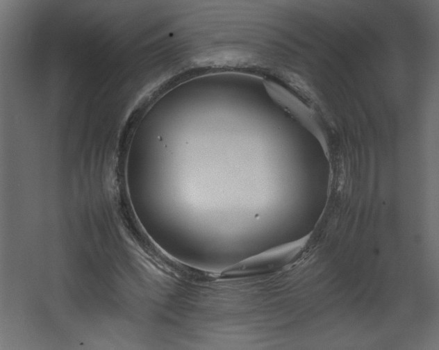 X0000067910392200604201410