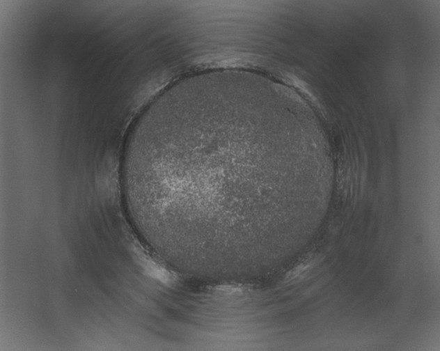 X0000067910394200604201410