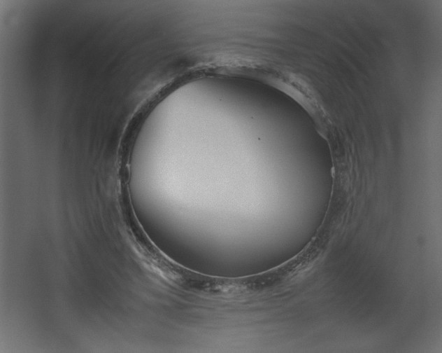 X0000067910395200604201410