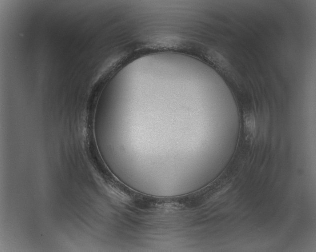 X0000067910396200604201410