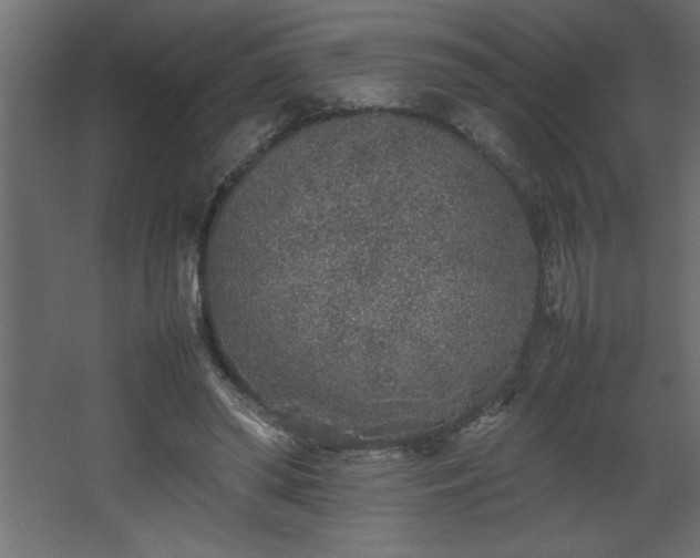 X0000067910398200604201410