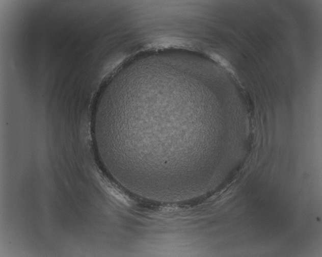 X0000067910399200604201410