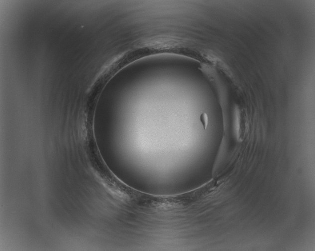 X0000067910400200604201410