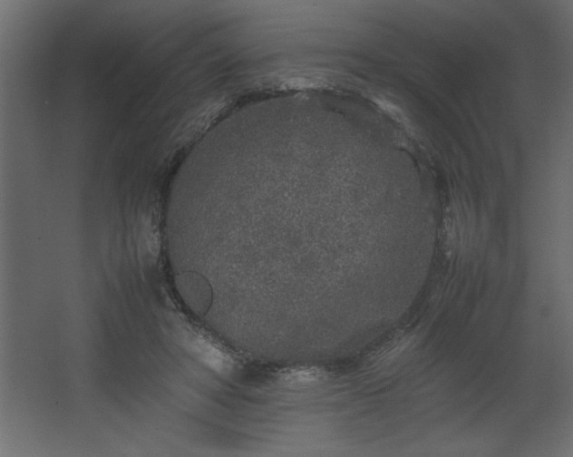 X0000067910402200604201410