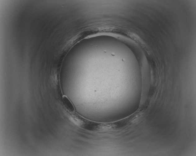 X0000067910405200604201410