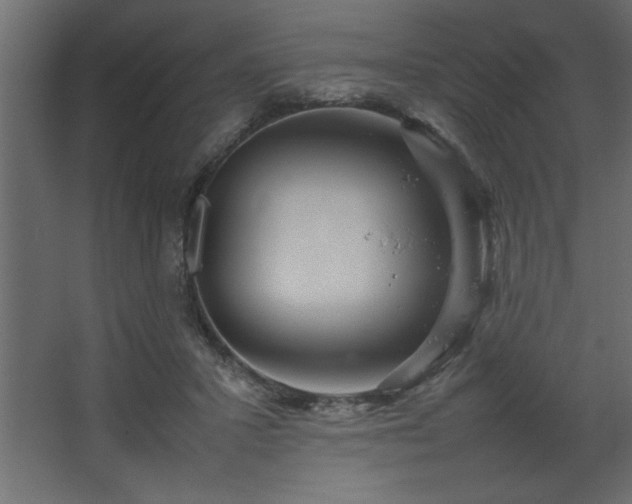 X0000067910407200604201410