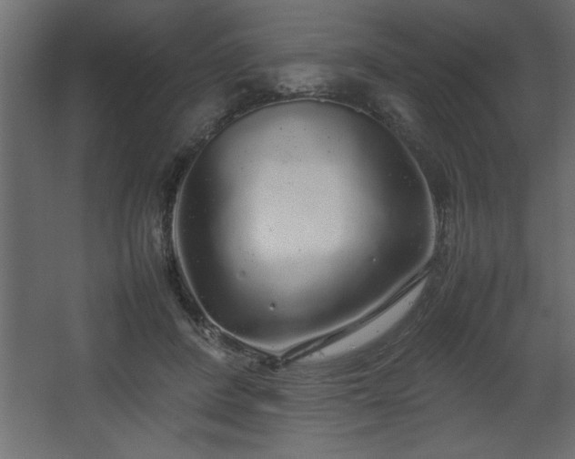 X0000067910408200604201410