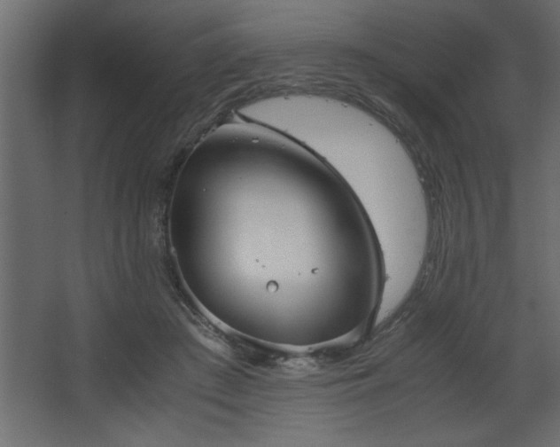 X0000067910409200604201409