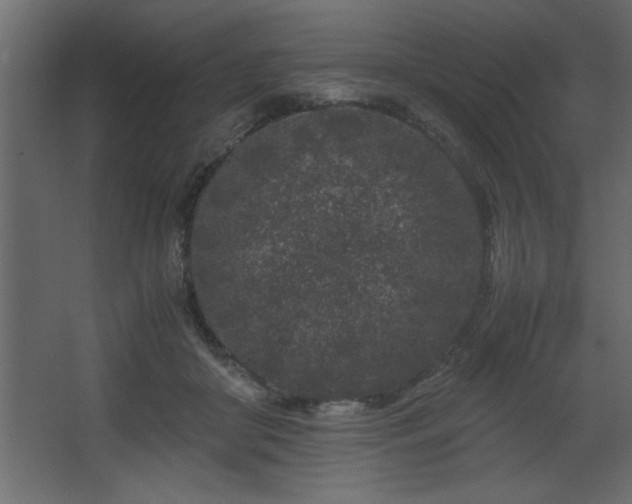 X0000067910410200604201409