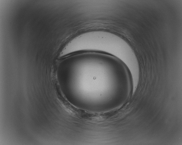 X0000067910411200604201409