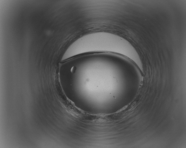 X0000067910412200604201409