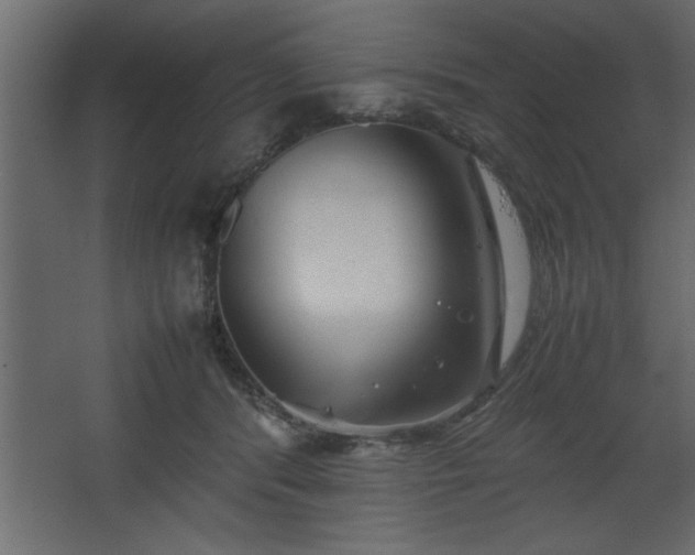 X0000067910416200604201409