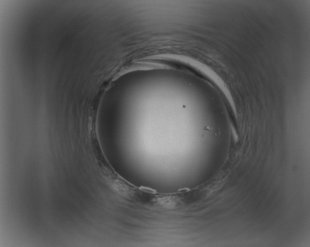 X0000067910417200604201409