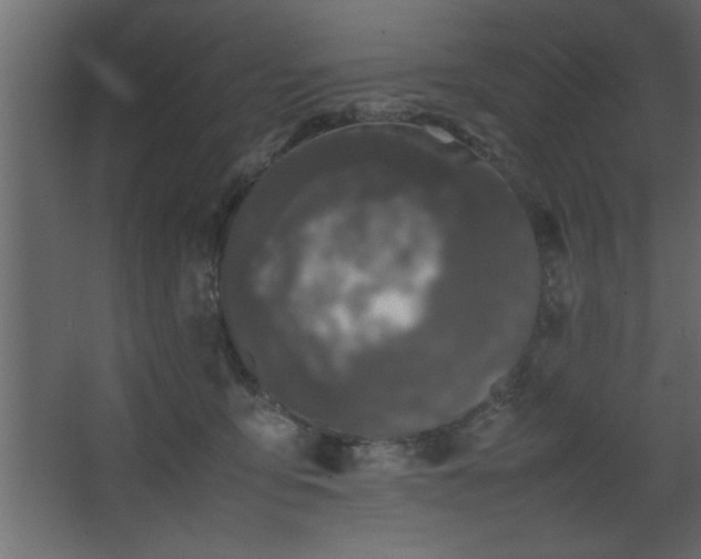 X0000067910419200604201409