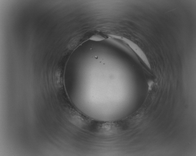 X0000067910420200604201409