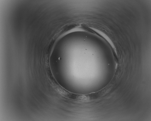 X0000067910421200604201409