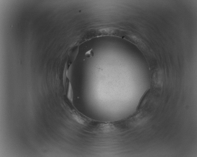 X0000067910424200604201409