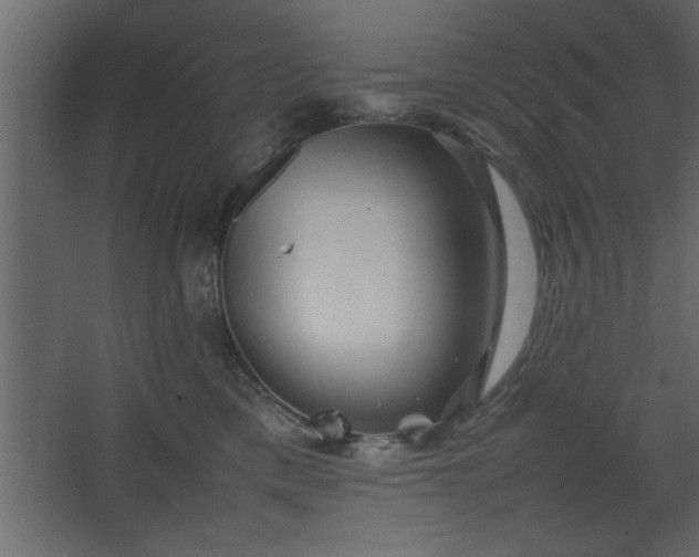 X0000067910425200604201409