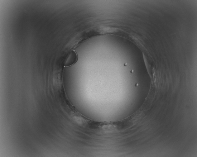 X0000067910426200604201409