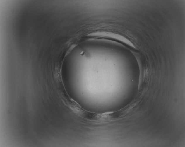 X0000067910429200604201409