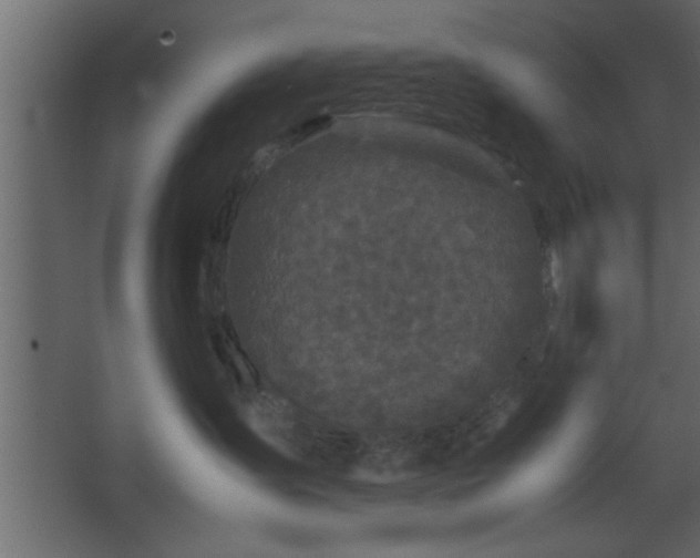 X0000067910431200604201409