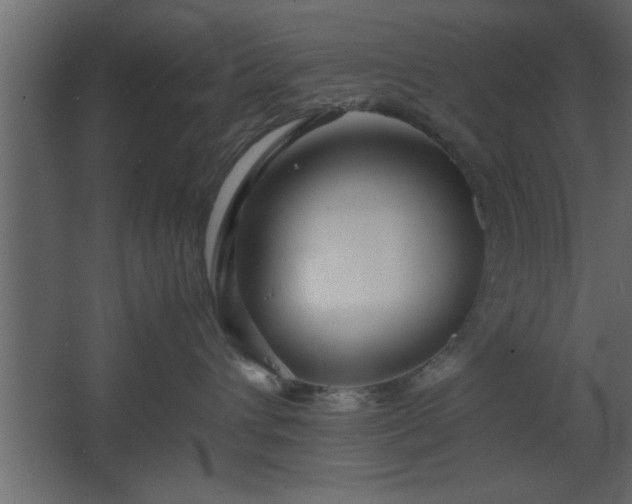 X0000067910432200604201409