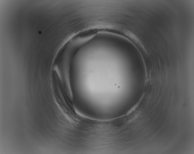 X0000067910436200604201408