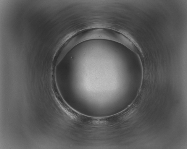 X0000067910437200604201408