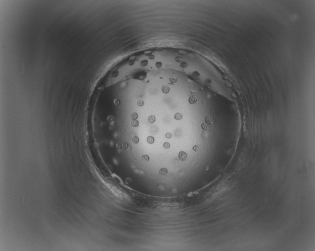 X0000067910438200604201408