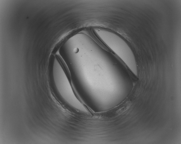 X0000067910440200604201408