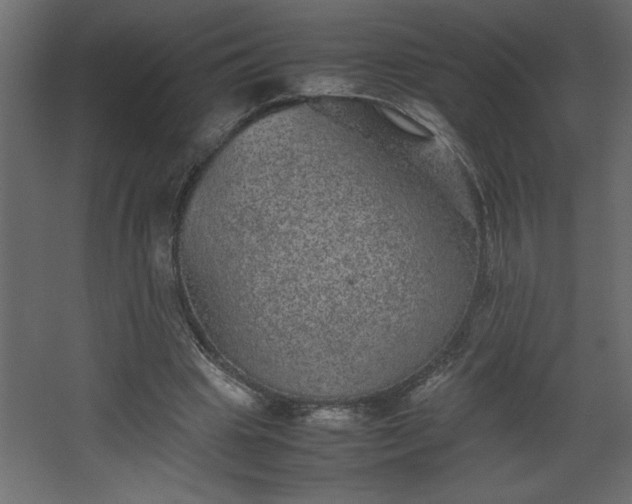 X0000067910441200604201408