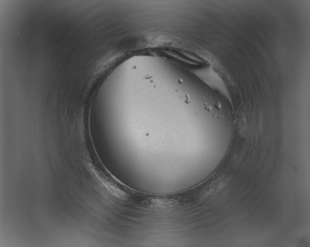 X0000067910442200604201408