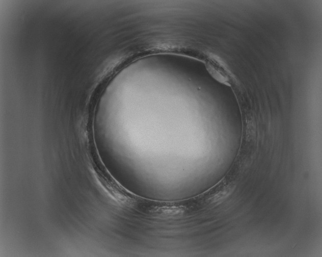 X0000067910443200604201408