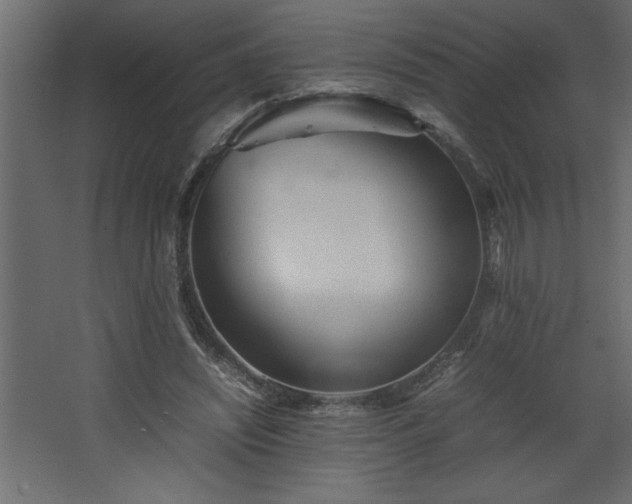 X0000067910444200604201408