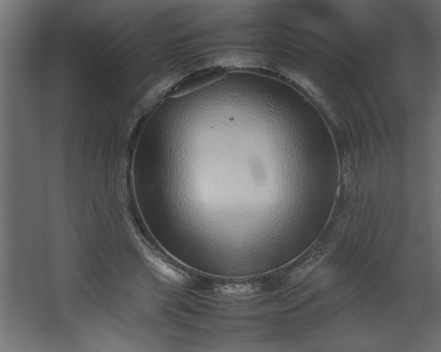 X0000067910445200604201408