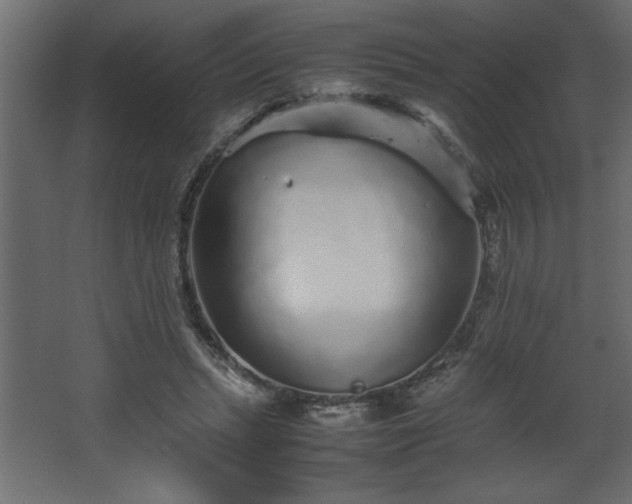 X0000067910447200604201409