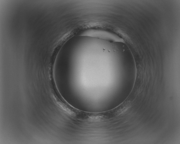 X0000067910450200604201409